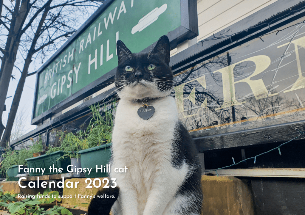 Fanny the Gipsy Hill Cat